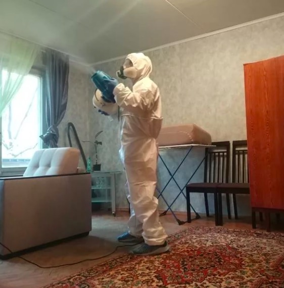 дезинсекция квартиры в Сланцах